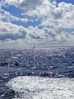 Auf dem Weg nach Guernsey