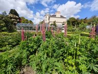 Seafield Garden &ndash; &copy; Britta Martini-Miles (Eberhardt TRAVEL)