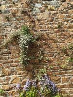 St. Aubin Backsteimauer &ndash; &copy; Britta Martini-Miles (Eberhardt TRAVEL)