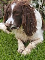 Tatty und Milly &ndash; &copy; Britta Martini-Miles (Eberhardt TRAVEL)