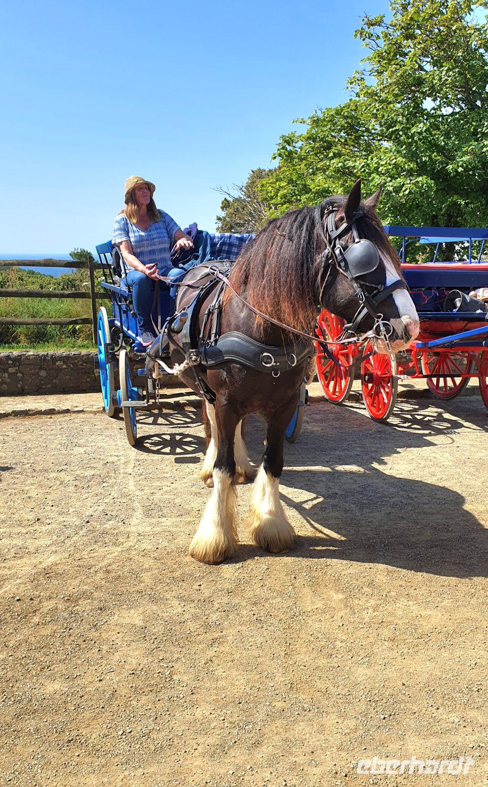 Pferdekutschen auf der Insel Sark &ndash; &copy; Kristin Weigel (Eberhardt TRAVEL)