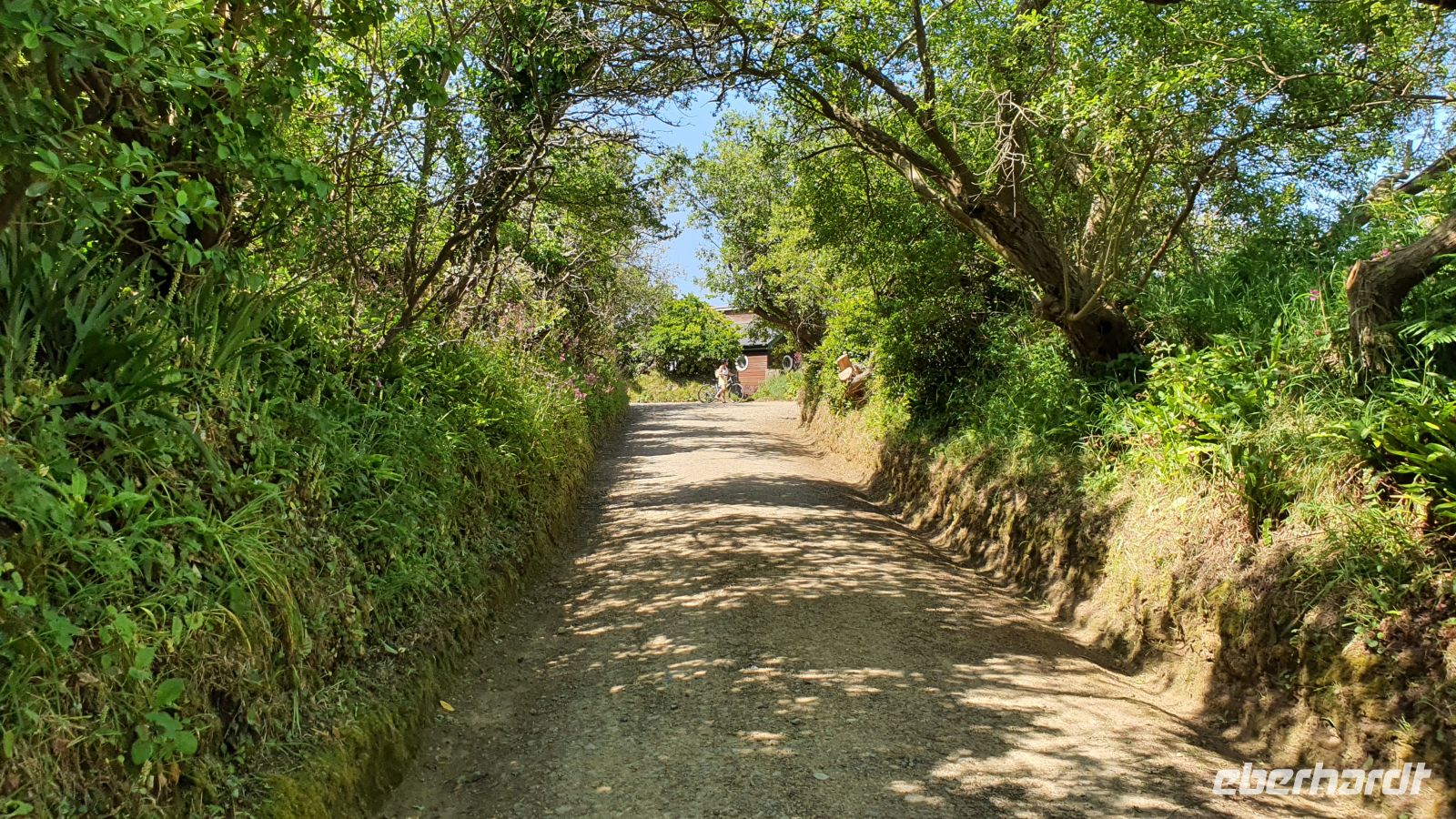 Dixcart Lane auf der Insel Sark &ndash; &copy; Kristin Weigel (Eberhardt TRAVEL)