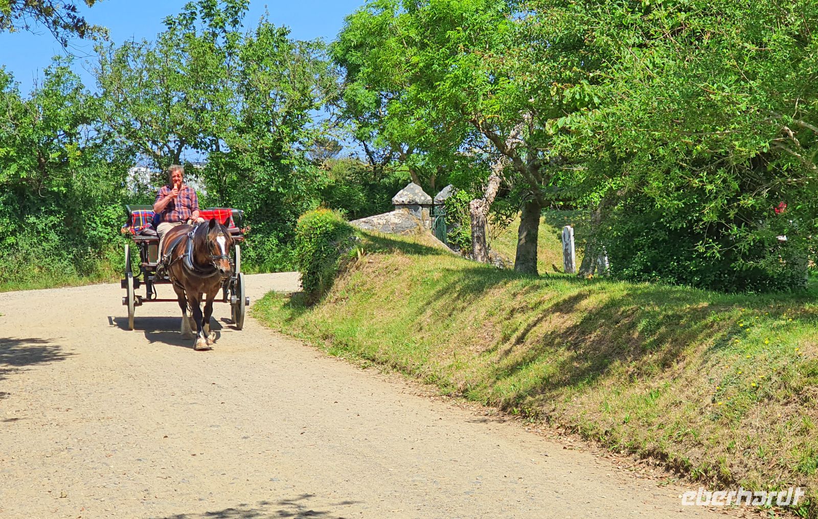 Pferdekutsche auf der autofreien Kanalinsel Sark &ndash; &copy; Kristin Weigel (Eberhardt TRAVEL)