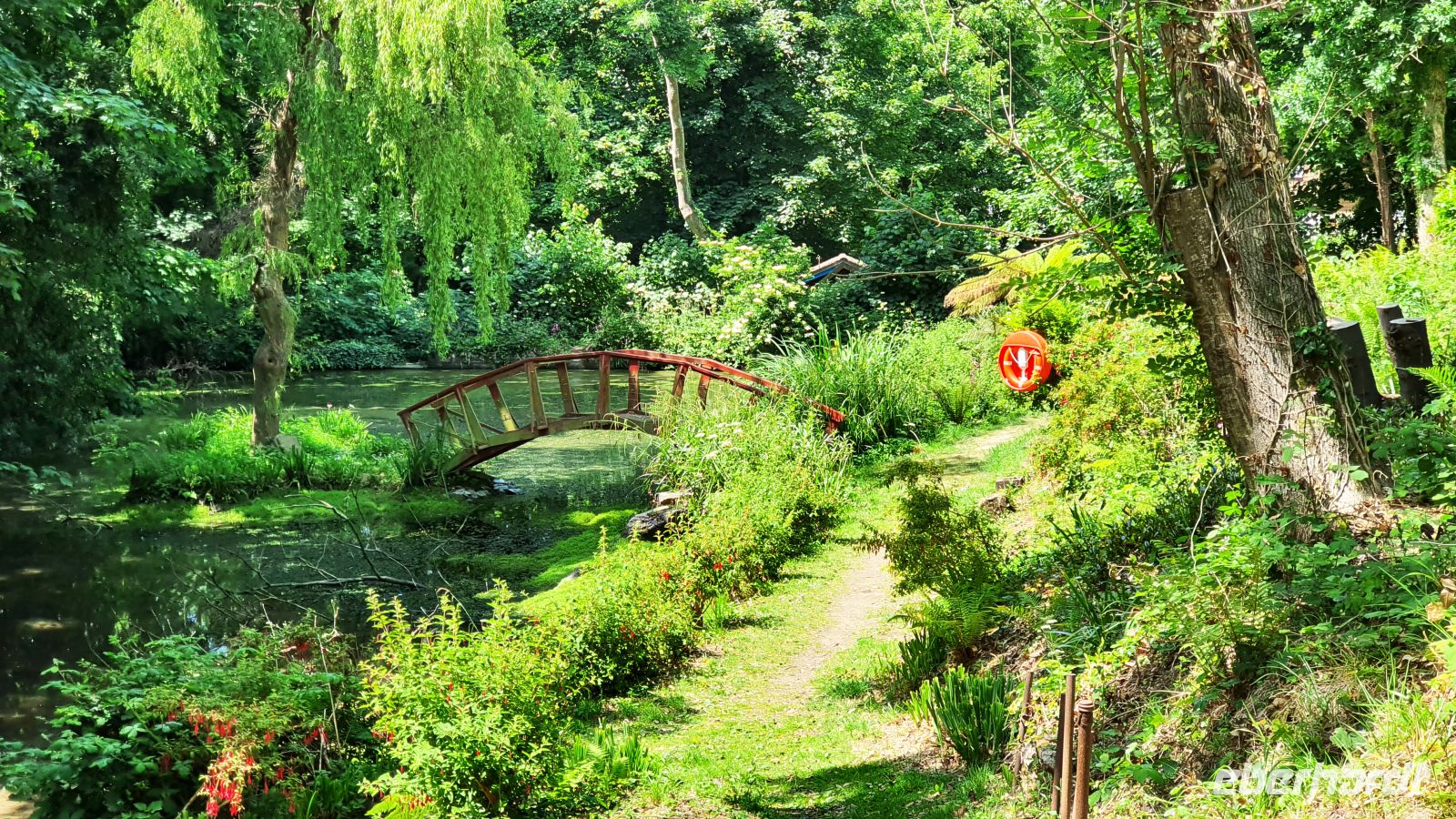 La Seigneurie auf Sark - Seerosenteich wie bei Monet &ndash; &copy; Kristin Weigel (Eberhardt TRAVEL)