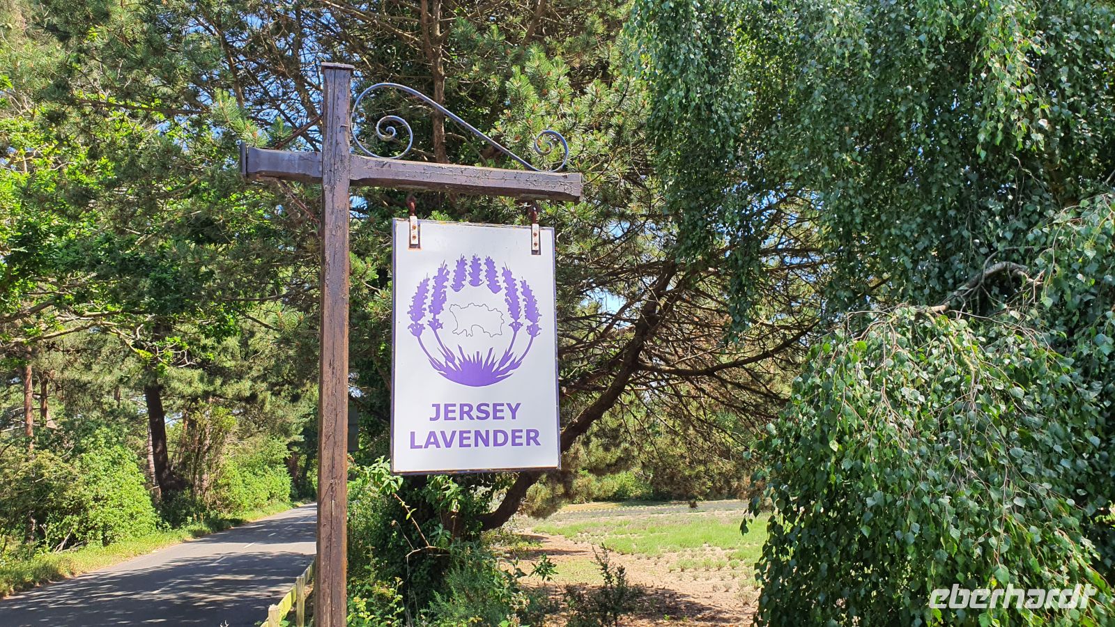 Abstecher zur Lavendelfarm Jersey Lavender &ndash; &copy; Kristin Weigel (Eberhardt TRAVEL)
