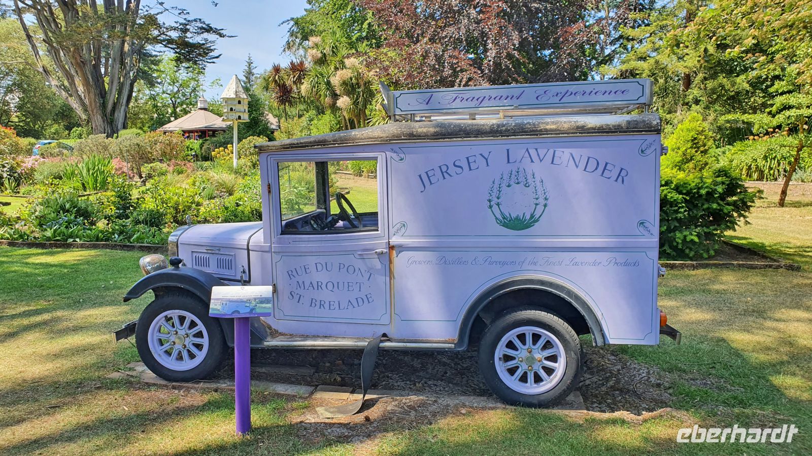 Lavendelfarm Jersey Lavender - lila Oldtimer &ndash; &copy; Kristin Weigel (Eberhardt TRAVEL)