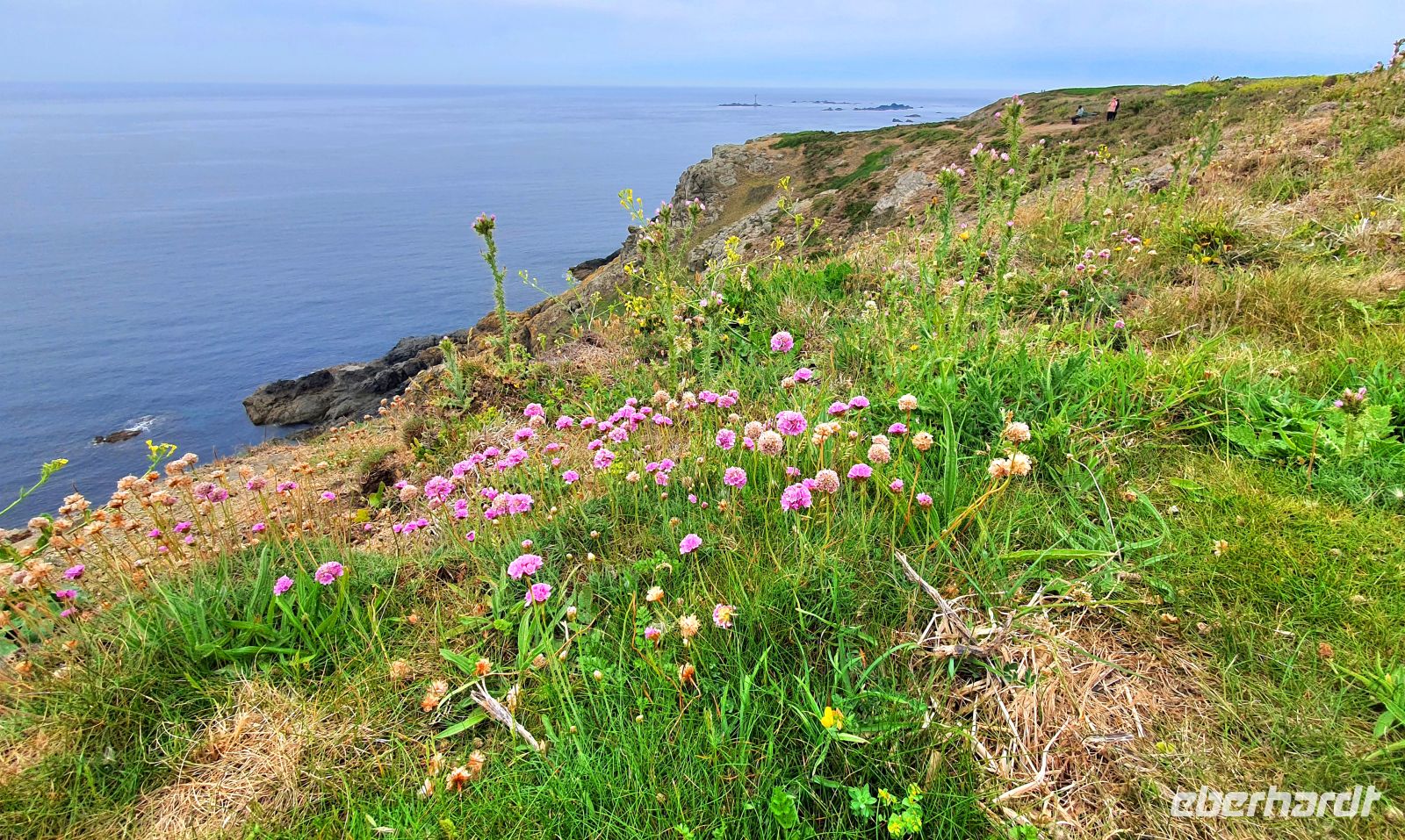 Spaziergang an der Südwestspitze von Guernsey - Pleinmont Headland &ndash; &copy; Kristin Weigel (Eberhardt TRAVEL)