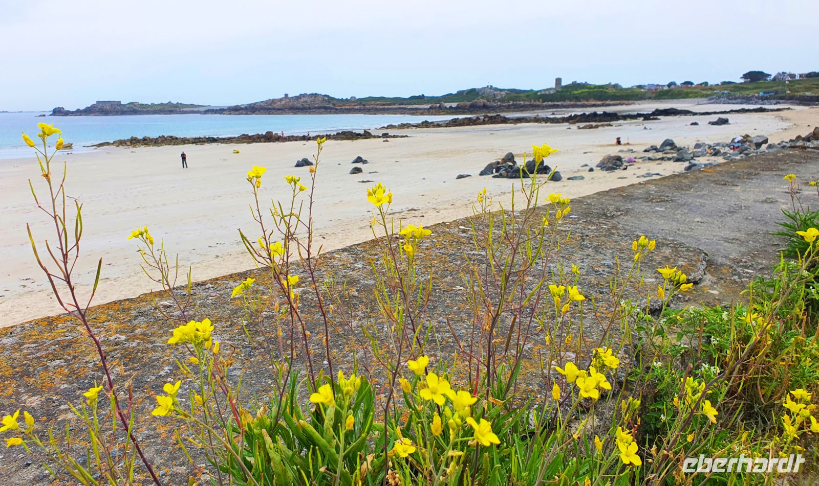 Inselrundfahrt auf Guernsey - Westküste &ndash; &copy; Kristin Weigel (Eberhardt TRAVEL)