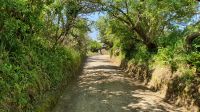 Dixcart Lane auf der Insel Sark &ndash; &copy; Kristin Weigel (Eberhardt TRAVEL)