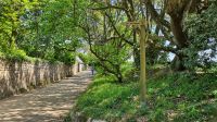 Wanderung auf der Insel Sark &ndash; &copy; Kristin Weigel (Eberhardt TRAVEL)