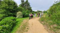 Gartentour auf Jersey - Führung durch einen Privatgarten &ndash; &copy; Kristin Weigel (Eberhardt TRAVEL)