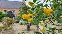 Gartentour auf Jersey - Domain de Veux &ndash; &copy; Kristin Weigel (Eberhardt TRAVEL)