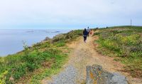 Spaziergang an der Südwestspitze von Guernsey - Pleinmont Headland &ndash; &copy; Kristin Weigel (Eberhardt TRAVEL)