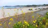Inselrundfahrt auf Guernsey - Westküste &ndash; &copy; Kristin Weigel (Eberhardt TRAVEL)