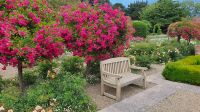 Botanischer Garten Samares Manor &ndash; &copy; Kristin Weigel (Eberhardt TRAVEL)