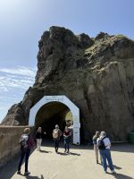 Sark &ndash; &copy; Andy Nguyen (Eberhardt TRAVEL)