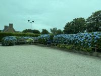 Vor dem Weingut Jersey &ndash; &copy; Andy Nguyen (Eberhardt TRAVEL)