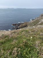 Guernsey &ndash; &copy; Andy Nguyen (Eberhardt TRAVEL)