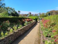 Sark - Seigneurie Gardens