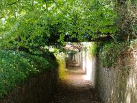 Green Lane, Jersey  &ndash; &copy; Monika Cortese (Eberhardt TRAVEL)