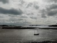 Ostküste bei Ebbe, Jersey 