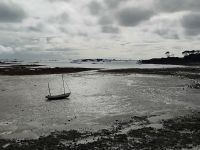 Ostküste bei Ebbe, Jersey  &ndash; &copy; Monika Cortese (Eberhardt TRAVEL)