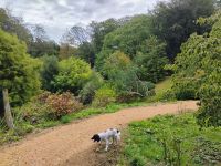 Private Gartenbesichtigung in Jersey 