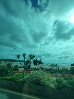 Ein Blick aus dem Bus auf den  Park - St.Aubin´s Bay &ndash; &copy; Marta Rass (Eberhardt TRAVEL)