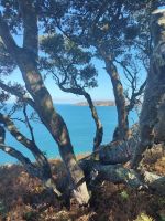 Ein Fototapettenmotiv ...... &ndash; &copy; Marta Rass (Eberhardt TRAVEL)