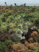die Natur macht eigene Kreationen... &ndash; &copy; Marta Rass (Eberhardt TRAVEL)