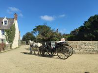 Keine rasante Fahrt.., aber die Fahrtregeln müssen gehalten werden &ndash; &copy; Marta Rass (Eberhardt TRAVEL)