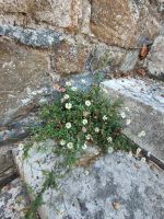 ..... und diese von der Natur..... &ndash; &copy; Marta Rass (Eberhardt TRAVEL)