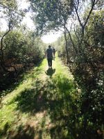 der Weg an der Küste Sarks - bis hin zu Meadows &ndash; &copy; Marta Rass (Eberhardt TRAVEL)