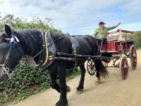 der nächste Fahrzeug Sarks... links abbiegen, bitte &ndash; &copy; Marta Rass (Eberhardt TRAVEL)