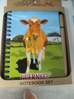 wo sind die Kühe schöner - auf Jersey oder Guernsey? &ndash; &copy; Marta Rass (Eberhardt TRAVEL)