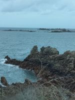 eine Affe spricht zu dem Kamel  &ndash; &copy; Marta Rass (Eberhardt TRAVEL)