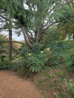 ... viele exotischen Schönheiten zieren den Weg &ndash; &copy; Marta Rass (Eberhardt TRAVEL)