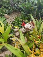 Ein Baumphilodendron &ndash; &copy; Marta Rass (Eberhardt TRAVEL)
