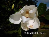 dito &ndash; &copy; Elke Storch (Eberhardt TRAVEL)