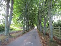095_Tunnelstraße auf Jersey &ndash; &copy; Rica Schubert (Eberhardt TRAVEL)