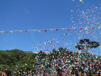 173_Battle of Flowers &ndash; &copy; Rica Schubert (Eberhardt TRAVEL)