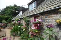 Sark Garten