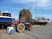 Fischtransport