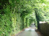 Green Lane &ndash; &copy; Sandra Winkler (Eberhardt TRAVEL)