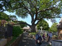 Jersey-St.Brelades Friedhof &ndash; &copy; Ria Heilmann (Eberhardt TRAVEL)