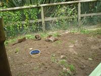 Otterfamilie 3 &ndash; &copy; Martin Brützke (Eberhardt TRAVEL)