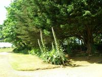 Coronation Park  &ndash; &copy; Martin Brützke (Eberhardt TRAVEL)