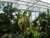 Glasshaus Eric Young Orchid Foundaiton  &ndash; &copy; Martin Brützke (Eberhardt TRAVEL)
