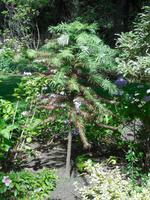 Privatgarten &ndash; &copy; Beate Schreiber (Eberhardt TRAVEL)