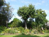 Privatgarten &ndash; &copy; Beate Schreiber (Eberhardt TRAVEL)